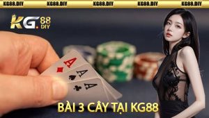 Bài 3 Cây