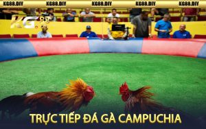 Trực tiếp đá gà Campuchia