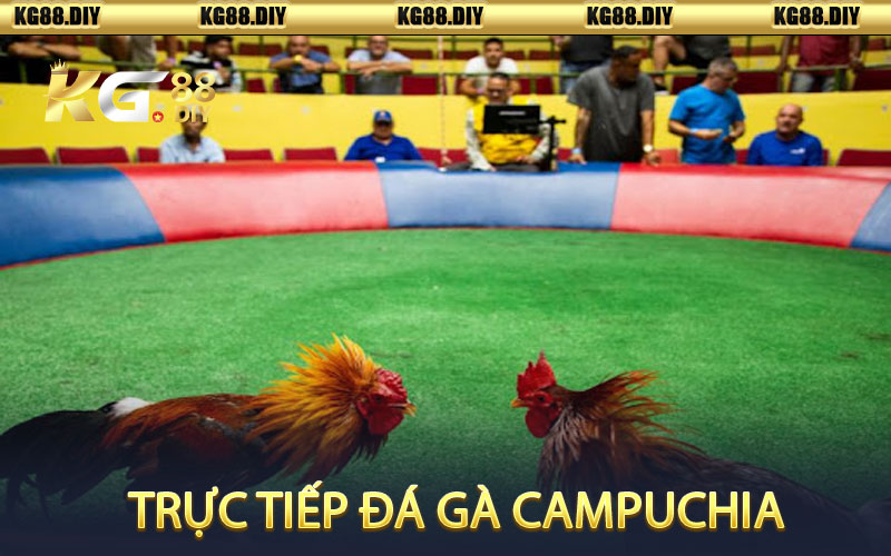 Trực tiếp đá gà Campuchia